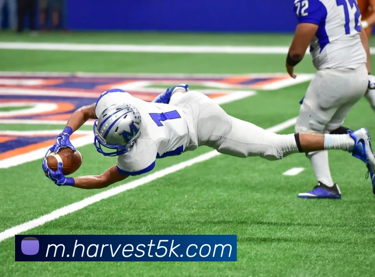 扫码下载 App